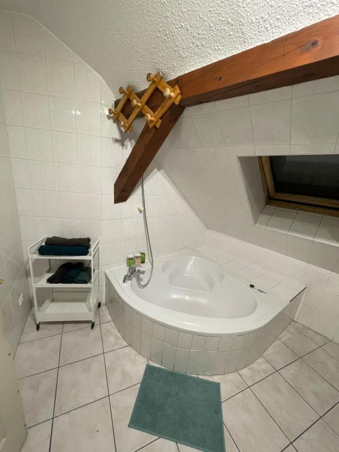 Colmar Charmant Logement Appartement